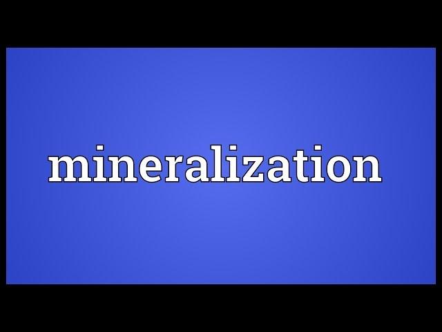 Mineralization Meaning