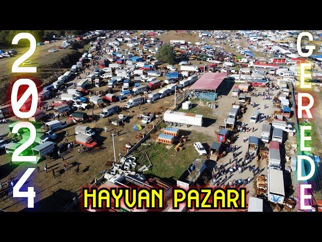 Gerede Panayırı Hayvan Pazarı 2024 (2.BÖLÜM)