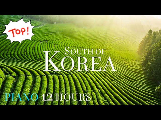 Relaxation 4K - Scenic Green Farm Jeju Island of South Korea 제주도 풍경 보성 녹차