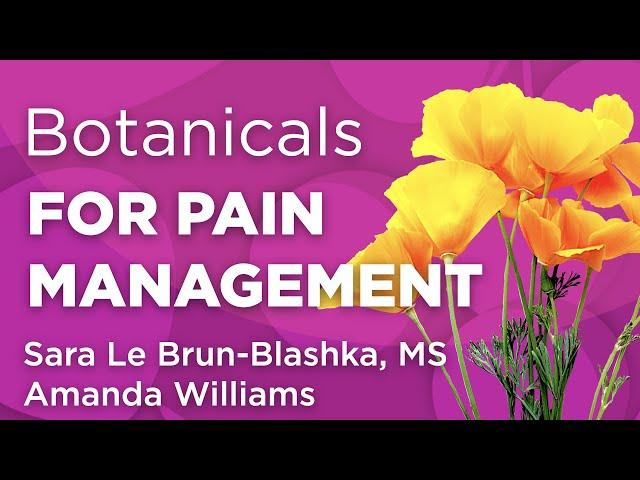 Pain Management with Botanicals | WholisticMatters Podcast | Medicinal Herbs