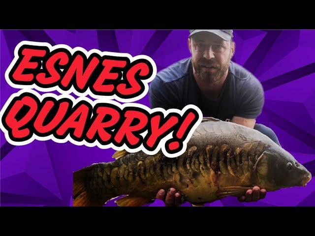 IS THIS PARADISE?  | ESNES QUARRY! 24HR SESSION | CARP FISHING 2023