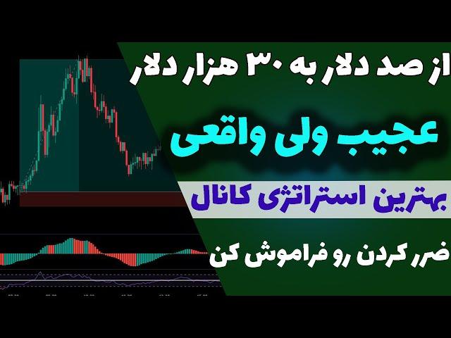 استراتژی باور نکردنی که ضرر نداره| کسب سود وحشتناک با همین استراتژی