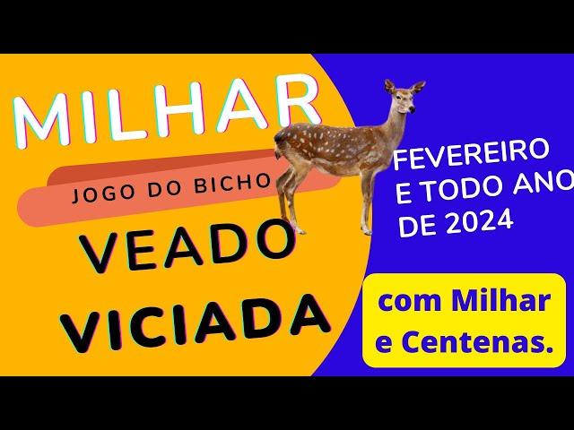 MILHAR E CENTENAS DO VEADO VICIADAS MES FEVEREIRO combinada PARA TODO ANO DE 2024