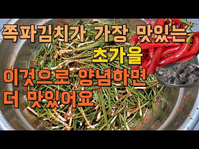 일년중 쪽파김치가 가장 맛있는 초가을 색다른 양념으로 맛이두배