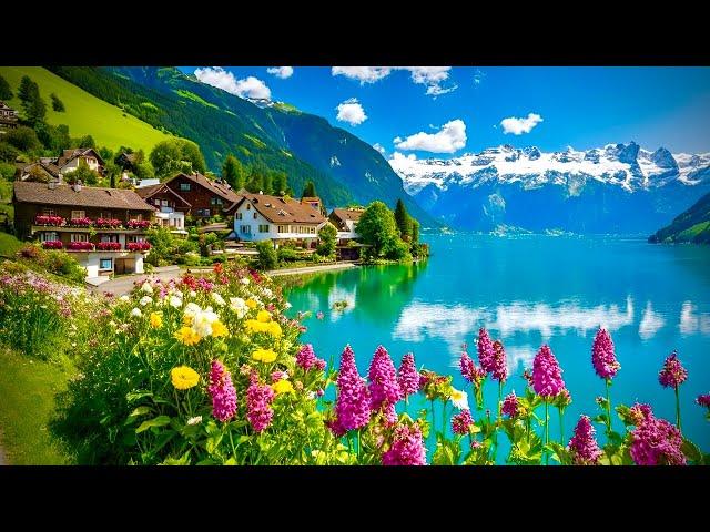 Brienz , Most Beautiful Village In SwitzerlandTop Travel Destinations _ LAKE BRIENZ