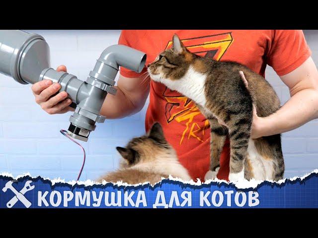 Автоматическая кормушка для котов v2