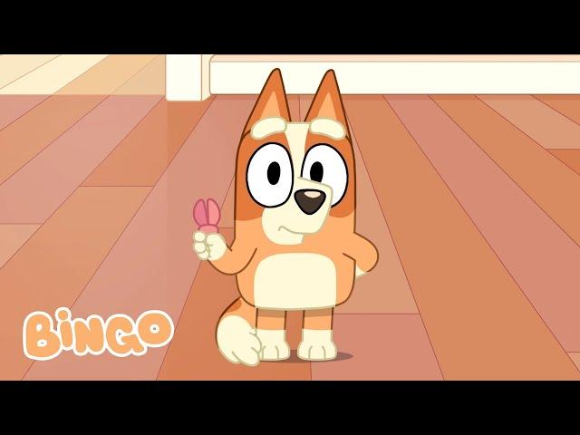 Laugh Out Loud with Bingo  | Adorable Bluey and Bingo Moments  | Bingo - Official Channel