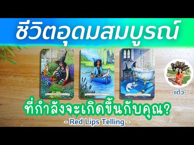 Pick A Card : ชีวิตอุดมสมบูรณ์ ที่กำลังจะเกิดขึ้นกับคุณ? [ Timeless ]