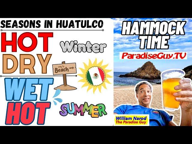 Winter to Summer Transition in Huatulco, Oaxaca Mexico  - Bugs - Best Time To Visit - Paradise Guy