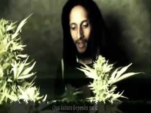 Julian Marley - Boom Draw - Official Video