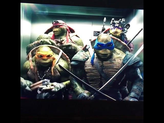 TMNT - when someone is talking to you and all you hear is - GO NINJA GO NINJA GO 