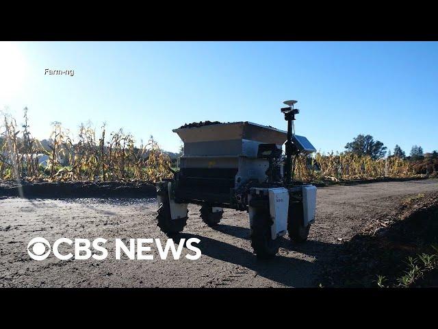 How AI powered robots are helping small farms fight labor shortages