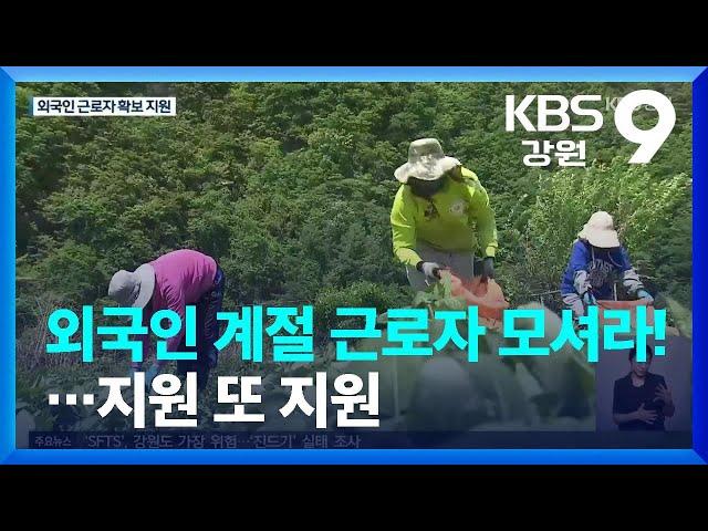 “외국인 계절 근로자 모셔라!”…지원 또 지원 / KBS  2023.05.17.