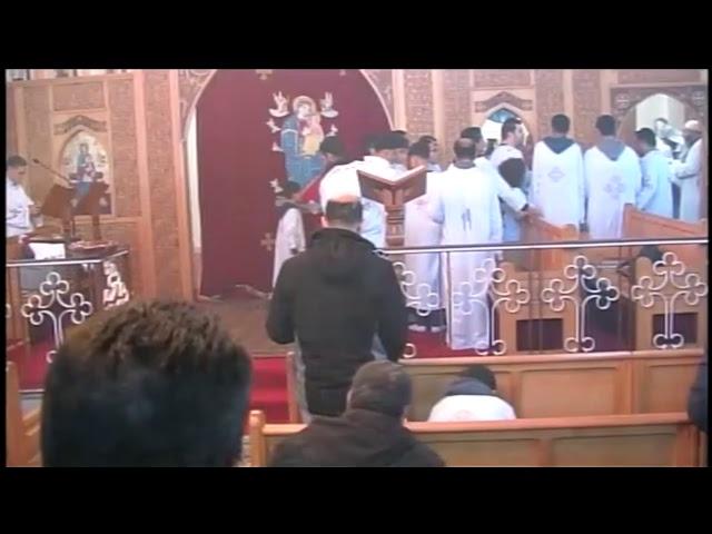 CTV coptic TV Live Stream