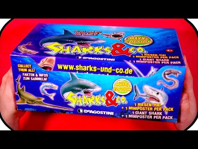 SHARKS and CO Figures Maxxi Edition Ƹ̴Ӂ̴Ʒ FULL BOX DeAgostini BLIND BAG UNBOXING