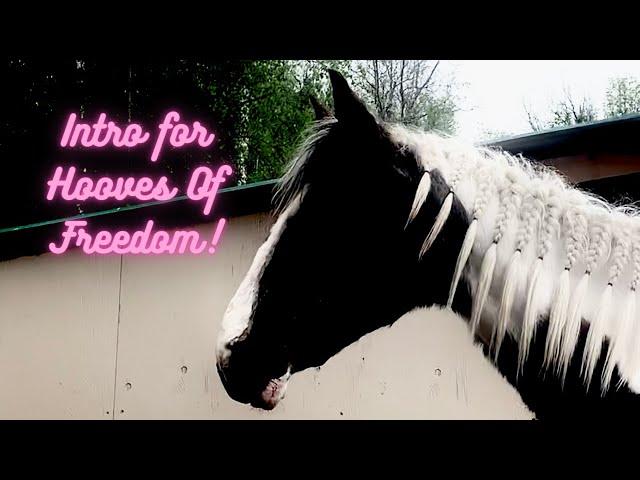 Intro for Hooves Of Freedom!!! (Link to Her Channel in Description!)