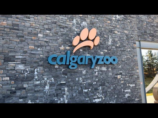 Calgary Zoo | Full tour of Calgary Zoo in 4k | AmanzWorld