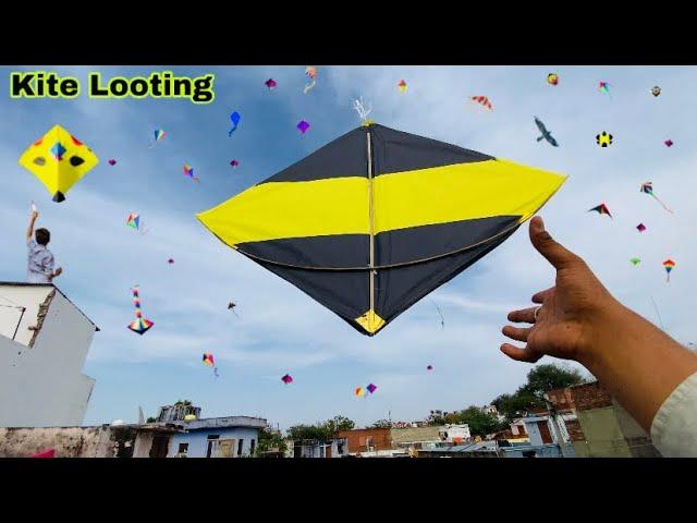 Kite Looting 🪁 | बहुत सारी पतंग 🪁 लूट ली | kite looting ki video | kite catching ~ patang