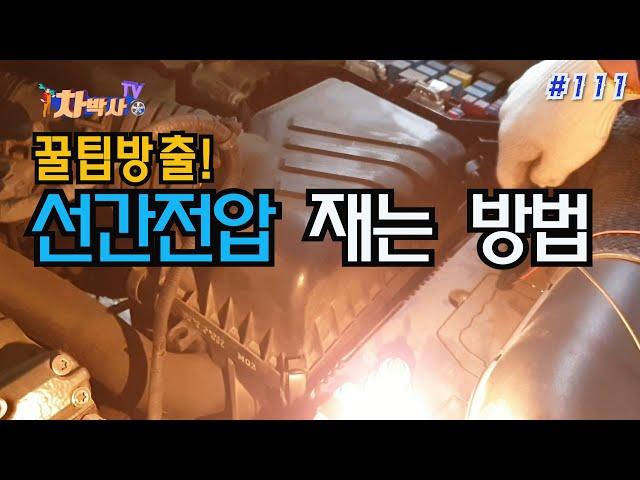 차박사TV_111회 꿀팁 방출! 선간전압 재는 방법.