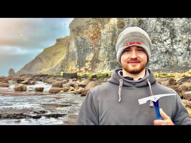 We Explored A Beach For Prehistoric Marine Fossils!