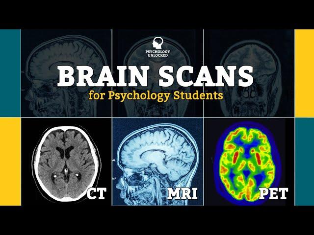 BRAIN SCANS FOR PSYCHOLOGY STUDENTS - CT, MRI, fMRI, PET - Neuroscience