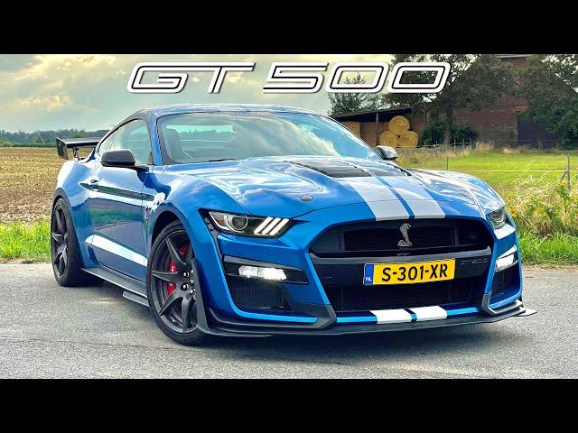 SHELBY GT500 *NO SPEED LIMITER* // REVIEW on AUTOBAHN