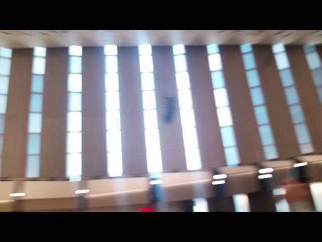 University of Iowa, organ prof practicing in the Voxman Music Buildling