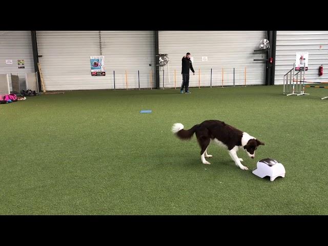 Hyumie Target training Katarina Podlipnik RC