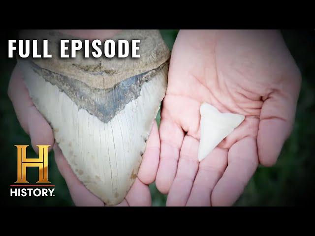 The Proof Is Out There: Prehistoric Megalodon is Still Alive?! (S1, E5) | Full Episode