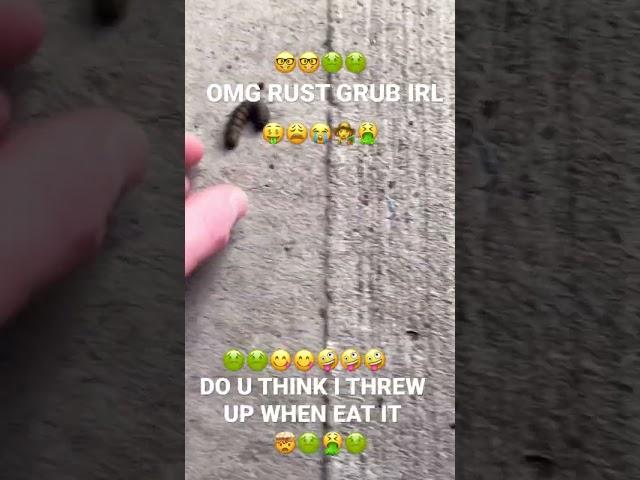 OMG GRUB LIKE IN RUST I ATE IT DO U THINK I THREW UP? RUST UPDATE!