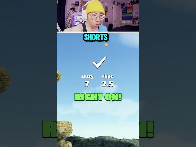 The Perfect Man  (Flip Diving)