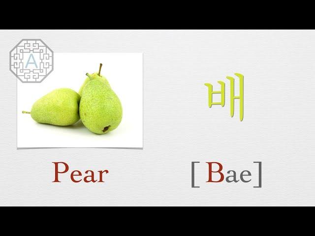 【Korean Vocab 101】How to pronounce "Pear" (배) in Korean  | Koreanescent