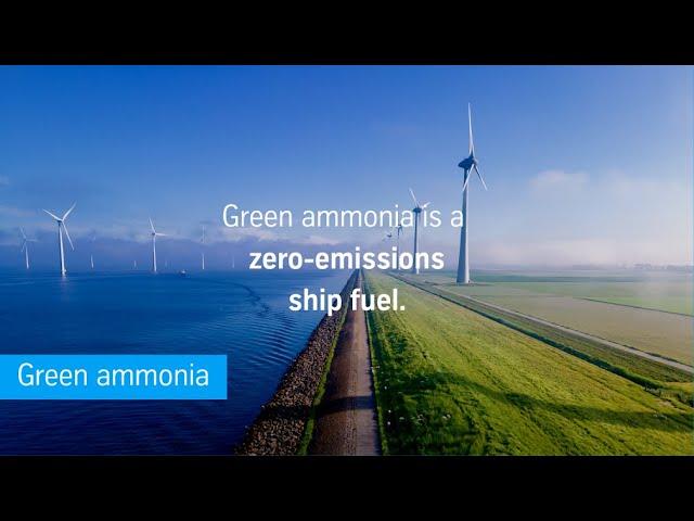 Green ammonia: zero-emissions ship fuel