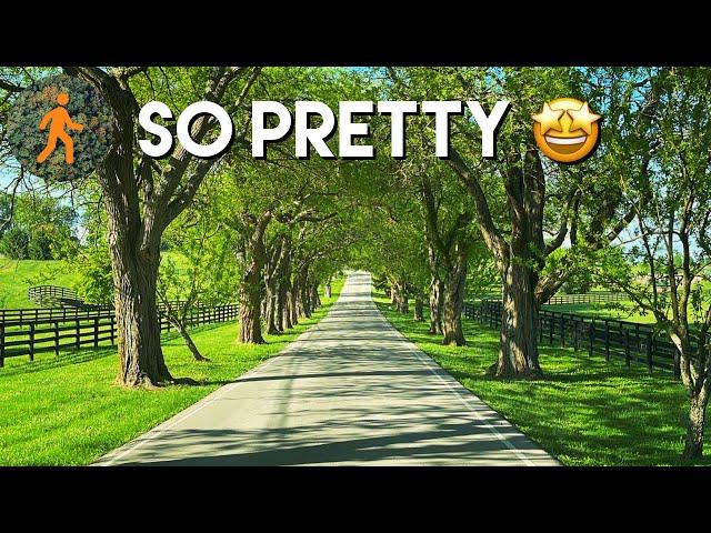 Most Beautiful Drive in America? Kentucky Horse Country Backroads - 4K Dashcam