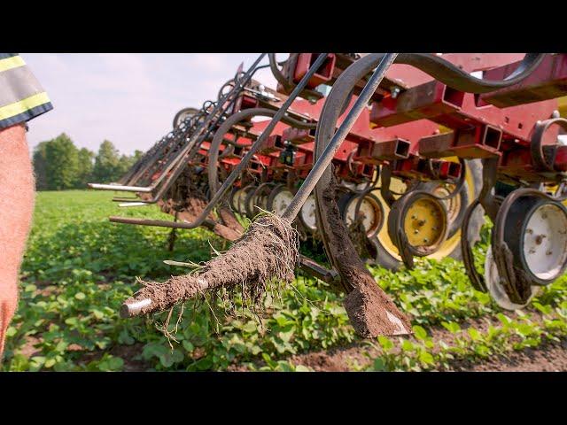 "I Won't Run Any Of My Cultivators Without The Torsion Weeder"