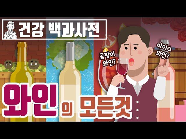 와인의 역사부터 레드와인, 화이트와인, 로제와인, 귀부와인, 아이스와인, 주정강화 와인까지! 와인 시리즈 한번에 보기 @세모지