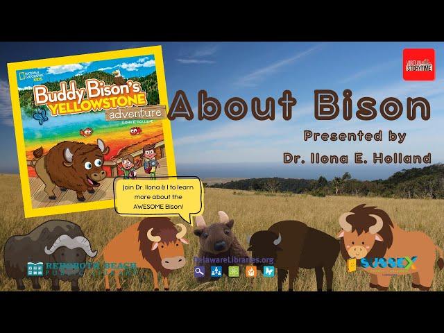 Buddy Bison: All About Bison