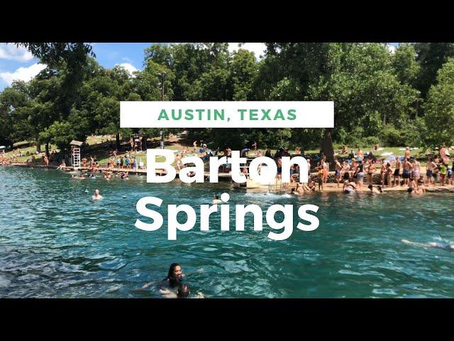 Barton Springs Pool – A Must-Visit Gem in Austin, Texas