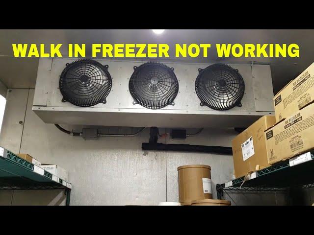 WALK IN FREEZER NOT WORKING