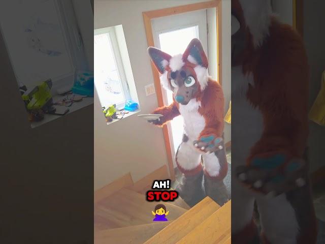 ‍️Fun Fact: Dropping Croissants is seen as a war crime in France ‍️ - @orionthefox #furry