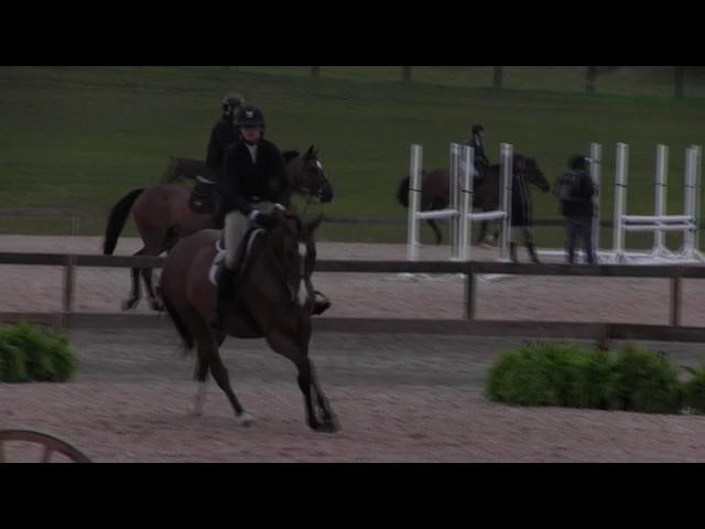 Video of WINDCHILL ridden by AMELIA MC ARDLE from ShowNet!