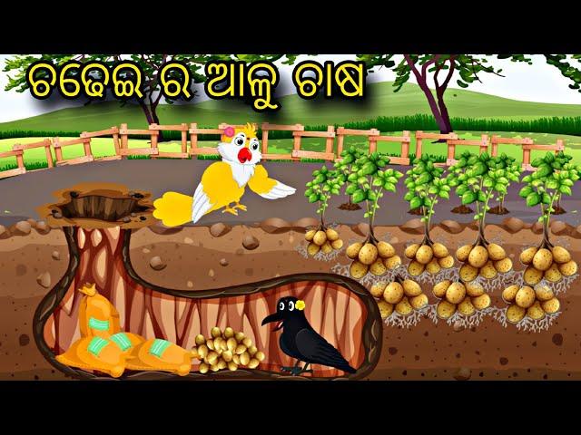 Chadhei Ra Aalu Chasa \\ Odia Stories \\ Odia Gapa \\ Tiki Chadhei Gapa \\ Bird Story \\ Stories