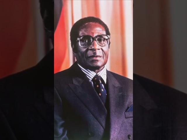 The Night Zimbabweans will never forget |President R G Mugabe Resigned #shorts #zimnews #shortsviral