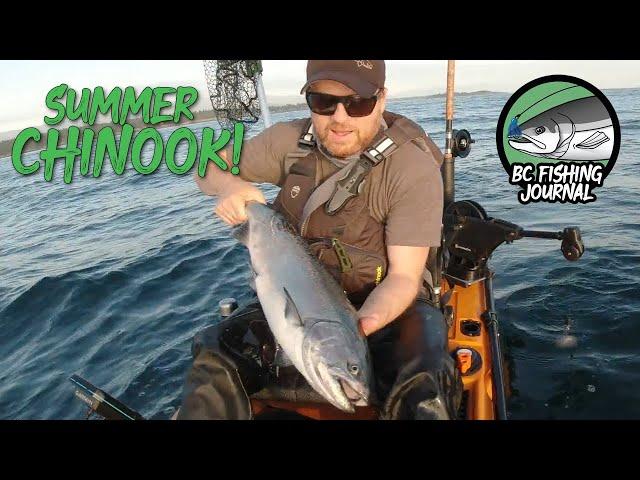 Summer Chinook Salmon Catch Clean Cook