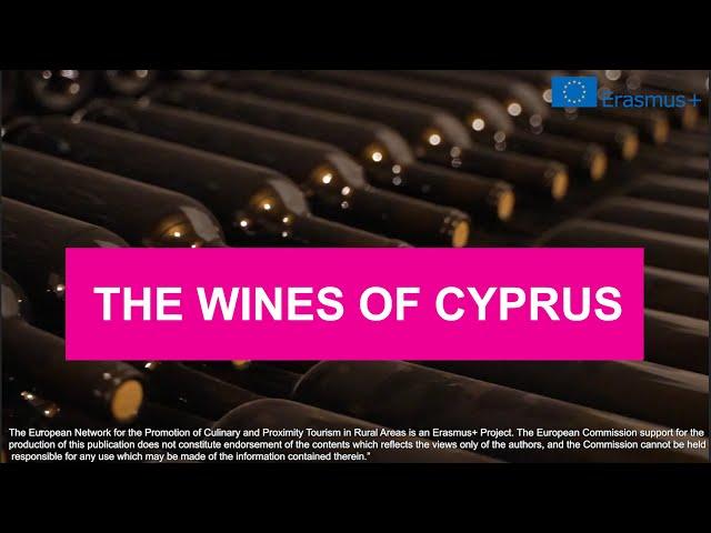 The Cyprus Wines and Wine Tourism in Tsangarides Winery