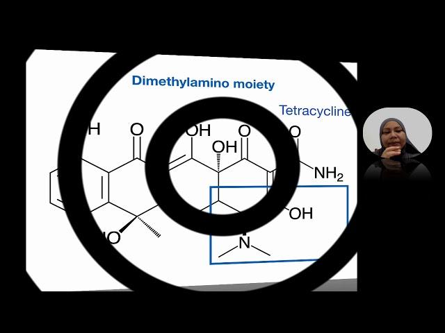 17241D Tetracyclines