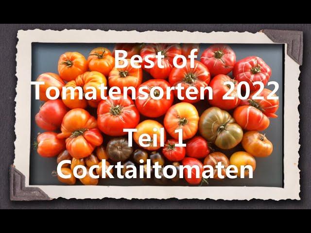 Best of Tomatensorten 2022 Teil 1 - Cocktailtomaten