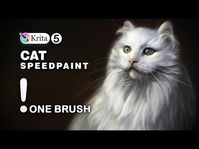 Cat SpeedPaint, digital painting in Krita 5 ,