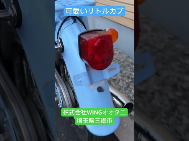 かわいいリトルカブ入荷！埼玉県三郷市のWINGオオタニr6.2.1