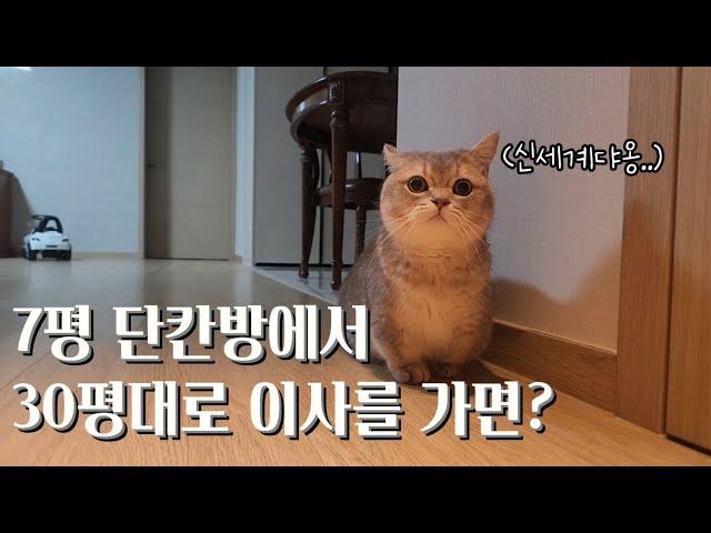 7평 단칸방에서 30평대로 이사를 가면?